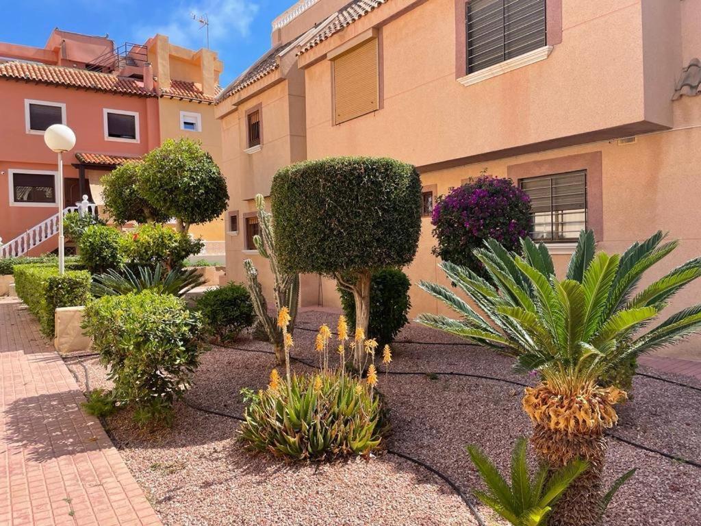 Apartament La Mata Torrevieja Dış mekan fotoğraf