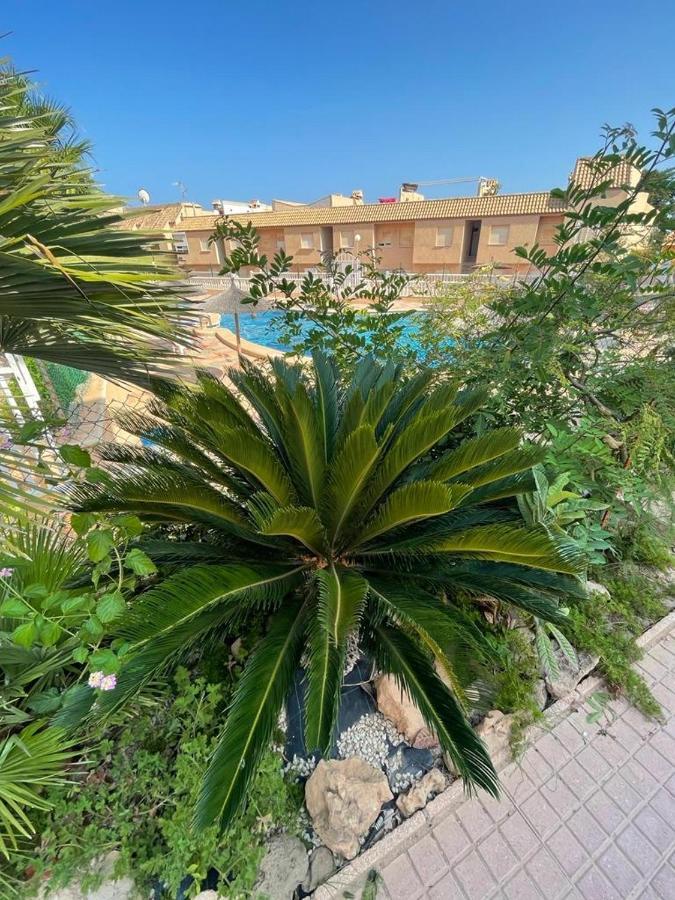 Apartament La Mata Torrevieja Dış mekan fotoğraf